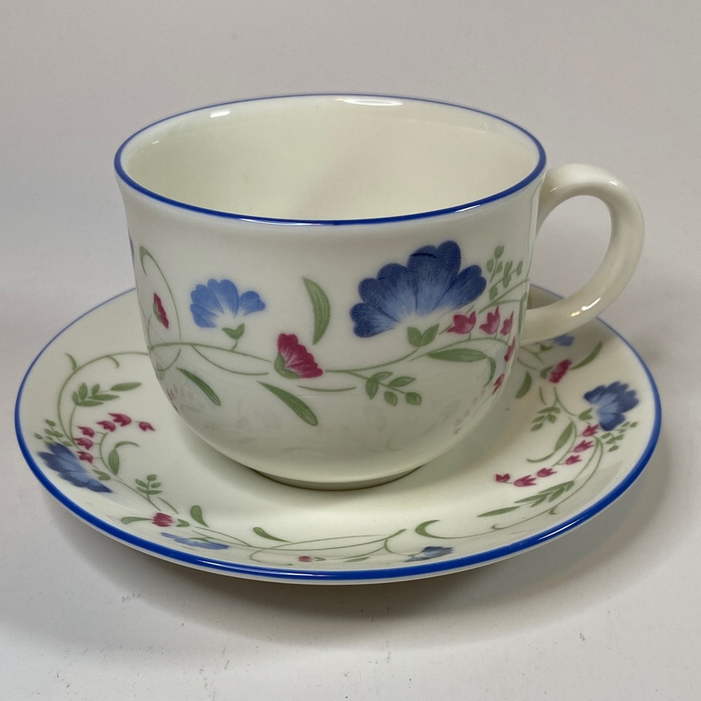 Royal Doulton Windermere Pattern Cup and Saucer